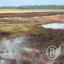 «Чернігівторф»: працівники погрожують страйком «Чернігівторф»: працівники погрожують страйком