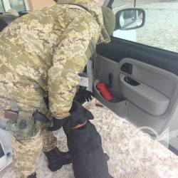 Собака пронюхав, що в машині є набої Собака пронюхав, що в машині є набої