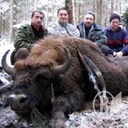 Штрафи за браконьєрство хочуть добряче підвищити Штрафи за браконьєрство хочуть добряче підвищити