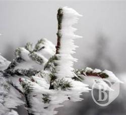 Тепліше буде з п’ятниці Тепліше буде з п’ятниці