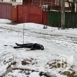Труп у річці бачили, але вважали діжкою Труп у річці бачили, але вважали діжкою