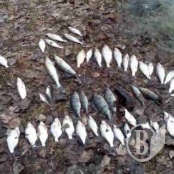 На Десні попався браконьєр На Десні попався браконьєр