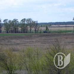 На Десні нижче Макошиного настає пік веяняної повені На Десні нижче Макошиного настає пік веяняної повені