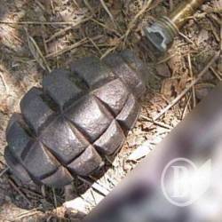 Гранату Ф-1 вилучили на вулиці Чернігова Гранату Ф-1 вилучили на вулиці Чернігова