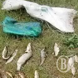 Попався селянин з мішечком риби й сітками Попався селянин з мішечком риби й сітками