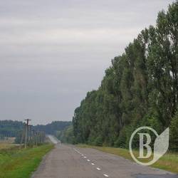 Мотоцикліст загинув у кюветі Мотоцикліст загинув у кюветі