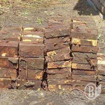 Родина сім десятиліть жила на схованці з центнером вибухівки Родина сім десятиліть жила на схованці з центнером вибухівки