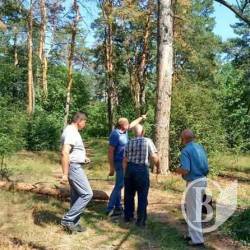 Фхівці дослідилли хворі дерева Чернігова Фхівці дослідилли хворі дерева Чернігова