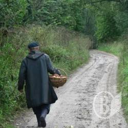 Скільки народ не годуй локшиною з «ящика», а він все у ліс по радіоактивні гриби «милиться» Скільки народ не годуй локшиною з «ящика», а він все у ліс по радіоактивні гриби «милиться»