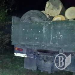 Справа дубових браконьєрів пішла до суду Справа дубових браконьєрів пішла до суду