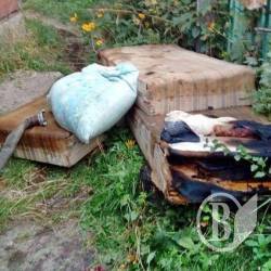 Курця встигли врятувати Курця встигли врятувати