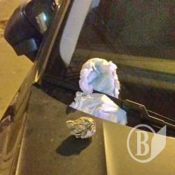 Друге життя й виховна роль добряче використаного підгузника Друге життя й виховна роль добряче використаного підгузника