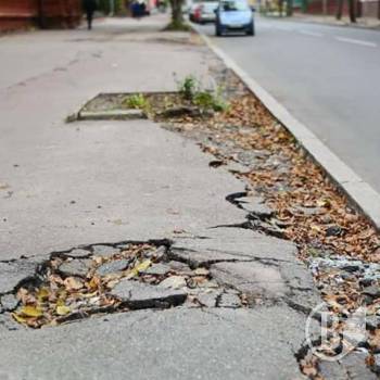 Чернігівці вже «дякують» за зимовий сад по-японськи. І переймаються долею Валу Чернігівці вже «дякують» за зимовий сад по-японськи. І переймаються долею Валу