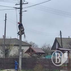 Незвичайна ДТП зі стовпом Незвичайна ДТП зі стовпом
