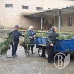 Лісівники додадуть зелені селам Лісівники додадуть зелені селам