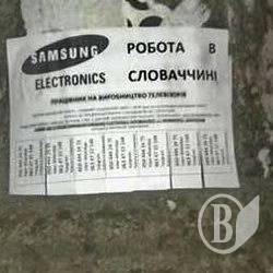 «Стовпо-поклейщика» зловили в Чернігові «Стовпо-поклейщика» зловили в Чернігові