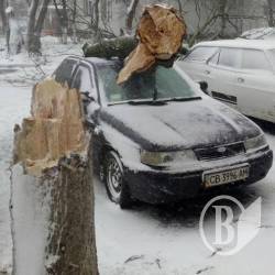 Дерево впало на легковик ВАЗ Дерево впало на легковик ВАЗ