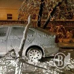Дерево пришльопнуло ще один легковик у Чернігові Дерево пришльопнуло ще один легковик у Чернігові