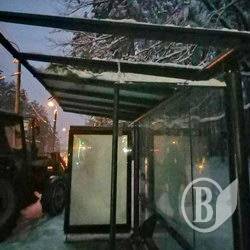 Сосна гепнулася на тролейбусну зупинку Сосна гепнулася на тролейбусну зупинку