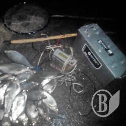 Попались три електровудочники, один з них – поліцейський Попались три електровудочники, один з них – поліцейський