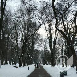Трансляція розповіді «Зеленбуду», чому слід вирубати Вал перед реконструкцією Трансляція розповіді «Зеленбуду», чому слід вирубати Вал перед реконструкцією