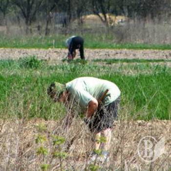 Третина квітня – «вихідні» Третина квітня – «вихідні»