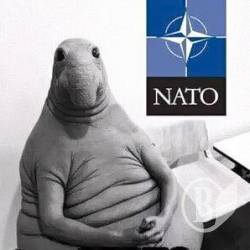 Затверджено план співробітництва з НАТО на 2018 рік Затверджено план співробітництва з НАТО на 2018 рік