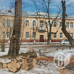 Розпочато вирубку на Валу Розпочато вирубку на Валу