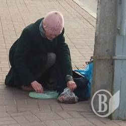 Чому у вас, декларантів палаців і мільйонів, пенсіонери на смітниках їдять? Чому у вас, декларантів палаців і мільйонів, пенсіонери на смітниках їдять?