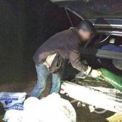 З багажника браконьєрів вивантажили 462 рибини З багажника браконьєрів вивантажили 462 рибини