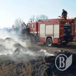 Трава спалена, півтораста свиней – пронесло Трава спалена, півтораста свиней – пронесло