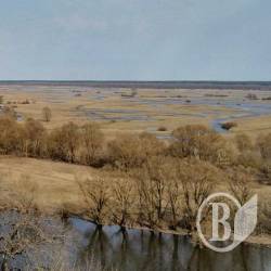 Десна піднімається, а на Снові минув пік повені Десна піднімається, а на Снові минув пік повені