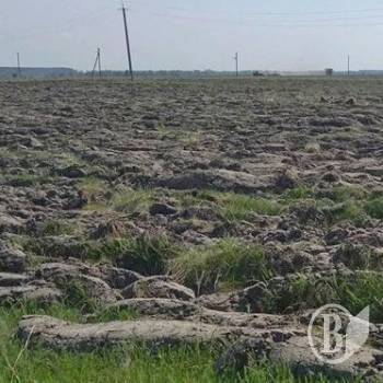Розорано луки на лівому березі Десни Розорано луки на лівому березі Десни