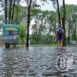 На Десні біля Чернігова минув пік водопілля На Десні біля Чернігова минув пік водопілля