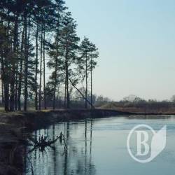 Снов починає повертатися в береги. Рівні води на Чернігівщині 16 травня Снов починає повертатися в береги. Рівні води на Чернігівщині 16 травня