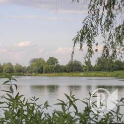 Вода спадає на всій території Чернігівщини Вода спадає на всій території Чернігівщини