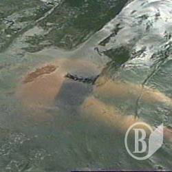 У травні на водоймах загинуло 11 людей У травні на водоймах загинуло 11 людей