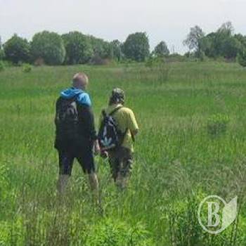 Жителі руйнують пам’ятки археології Ніжинщини, бо не знають про них? Жителі руйнують пам’ятки археології Ніжинщини, бо не знають про них?