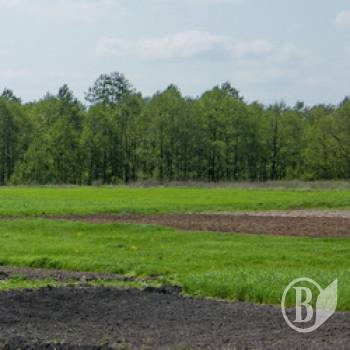 ОТГ на Чернігівщині стали власниками 1563 «клаптиків» державної землі ОТГ на Чернігівщині стали власниками 1563 «клаптиків» державної землі