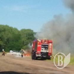 Згоріла стара Audi на околиці Чернігова Згоріла стара Audi на околиці Чернігова