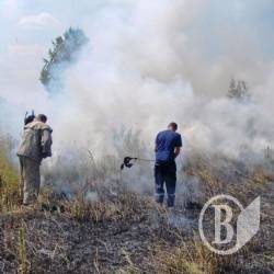 Лани й луки довелося гасити п’ять разів за добу Лани й луки довелося гасити п’ять разів за добу