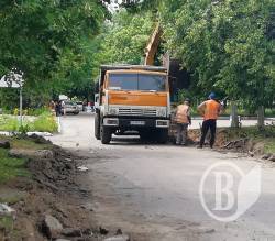 Чернігів відмовиться від послуг лелек Чернігів відмовиться від послуг лелек