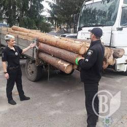 Трактор не довіз браконьєрську деревину Трактор не довіз браконьєрську деревину