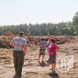 Нахабний фермер знищив молодий ліс Нахабний фермер знищив молодий ліс