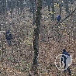 Дідусь загубився і заночував у лісі Дідусь загубився і заночував у лісі