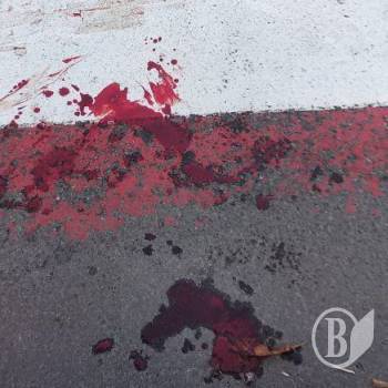 Біля «Ниви» авто збило чоловіка на переході Біля «Ниви» авто збило чоловіка на переході