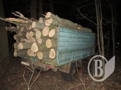 В Чернігові затримали ЗІЛ з двома десятками соснових колод В Чернігові затримали ЗІЛ з двома десятками соснових колод