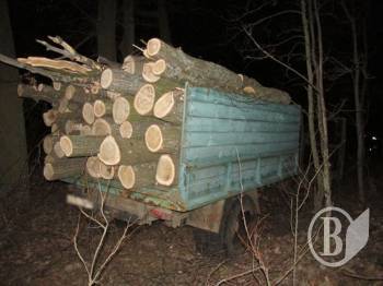 В Чернігові затримали ЗІЛ з двома десятками соснових колод В Чернігові затримали ЗІЛ з двома десятками соснових колод