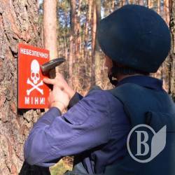 Як піротехніки розміновують територію навкого погорілого арсеналу Як піротехніки розміновують територію навкого погорілого арсеналу