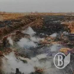 Як гасять масштабну пожежу торфовищ на Чернігівщині Як гасять масштабну пожежу торфовищ на Чернігівщині